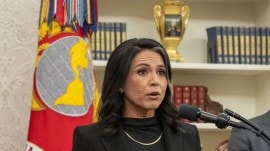 tulsi gabbard, intelligence officials, trump, israel iran