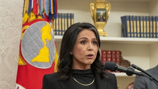 tulsi gabbard, intelligence officials
