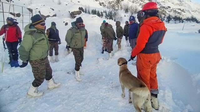 uttarakhand avalanche
