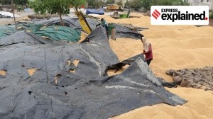 Punjab top performer in Centre’s agri fund scheme: What is AIF, who it helps