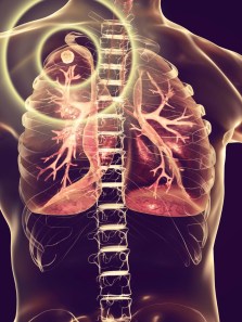 A guide to TB transmission: Risks, prevention and treatment