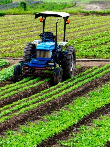 Protect our farms: Risks of plastic pollution