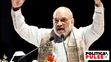 Bihar Assembly polls BJP strategy