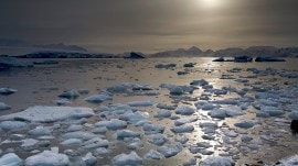 ‘What happens in Antarctica does not stay there’: As Arctic ice melts, a warning from India’s polar research agency head