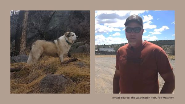 According to Dunton, Buford is a quiet working dog who sleeps by day and roams by night, and was in just the right place at just the right time