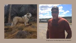 According to Dunton, Buford is a quiet working dog who sleeps by day and roams by night, and was in just the right place at just the right time