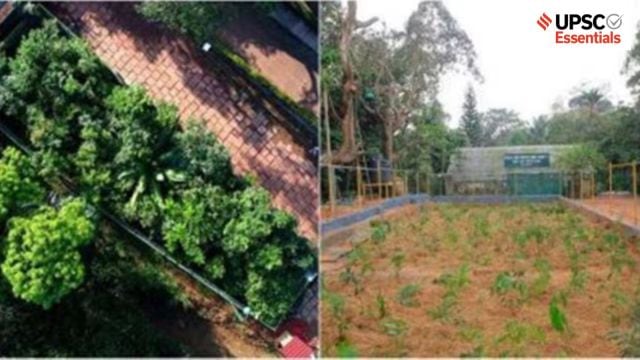 Biodiversity conservation