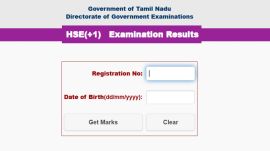TN Class 11th Result 2025: Websites to check result