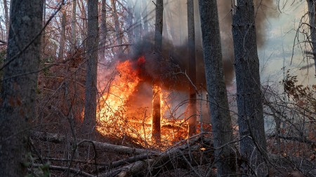 Climate Change: The Black Cove Fire burns in the US