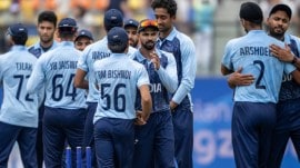 Only six teams will play cricket at the Los Angeles Olympics in 2028. (BCCI)