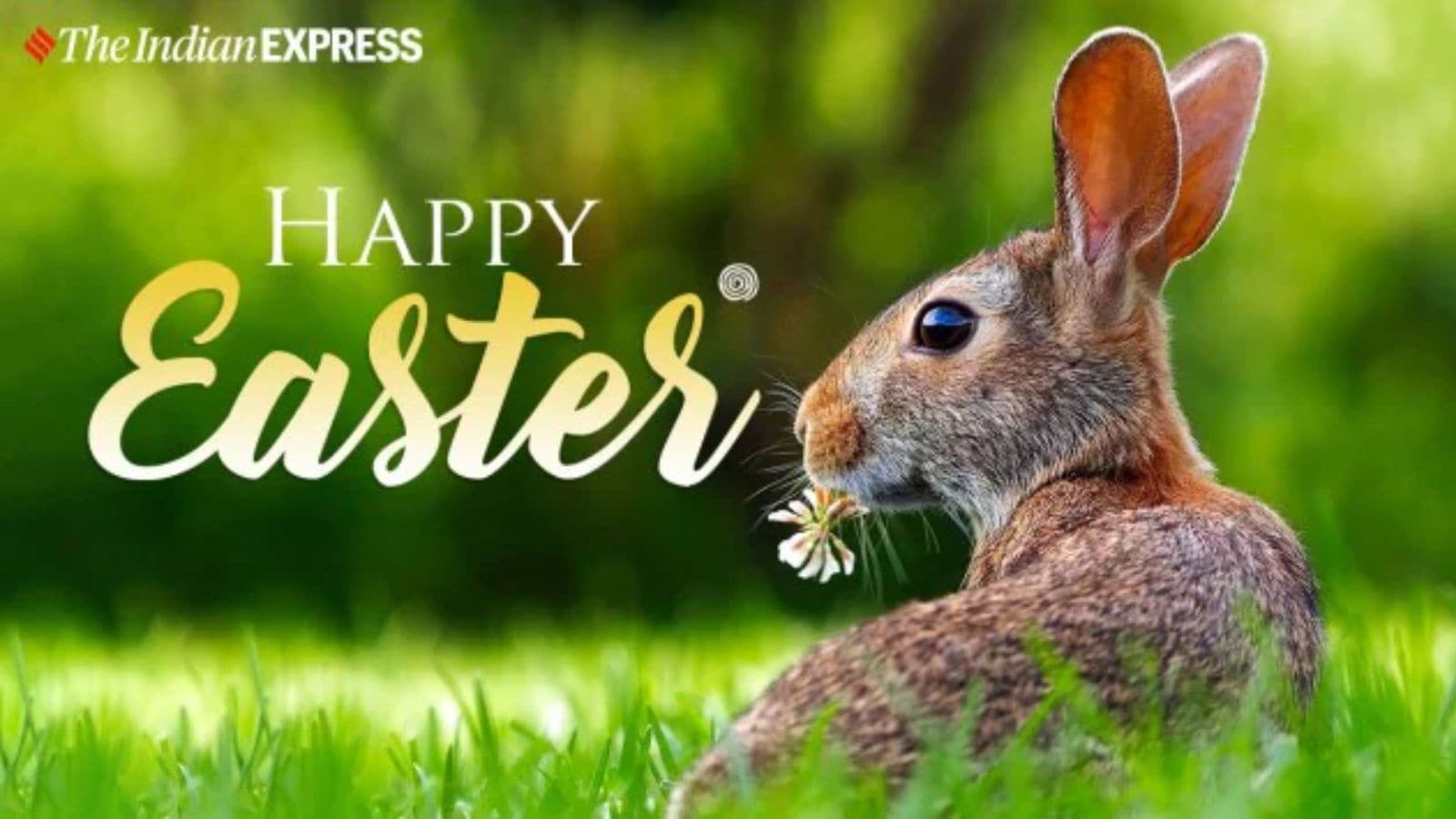 Easter Sunday 2025: Aso known as 'Resurrection Sunday' - here's all you need to know