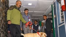 Security personnel check the Secretariat building after it received a bomb threat via email, in Shimla. (PTI photo)