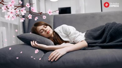 Inemuri naps, nap, napping, sleep