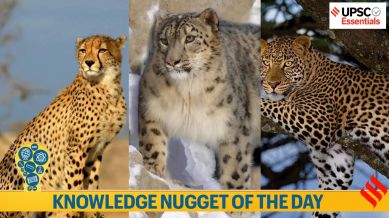 Knowledge Nugget | India and International Big Cat Alliance: A Must-Know Topic for UPSC Prelims 2025