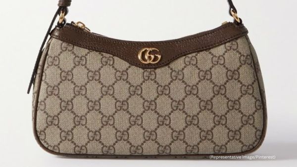 Leiva, who resides in the US illegally, is suspected of being part of a large East Coast robbery network (Representative image/Pinterest)