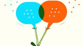 Hindi-Urdu, language debate