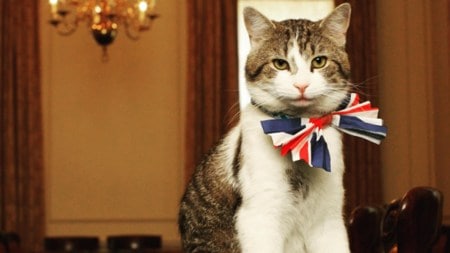 Larry the Cat remains at Downing Street regardless of who occupies the office