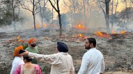 Mohali Fire Mohali-Fire-Nature-Park