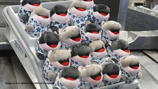 Moo Deng, born on July 10, won over thousands with its small stature and charming personality