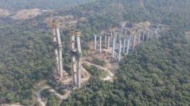 missing link project