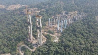 missing link project