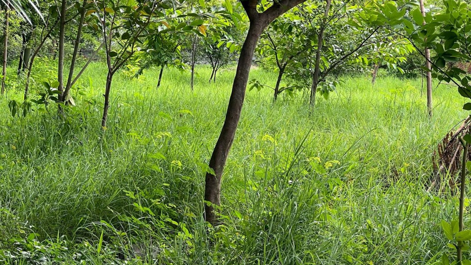 After Waqf Bill, Kerala BJP puts focus on 400 acres near Kochi as Munambam residents celebrate