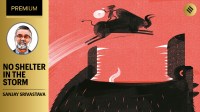 young indians as risk takers