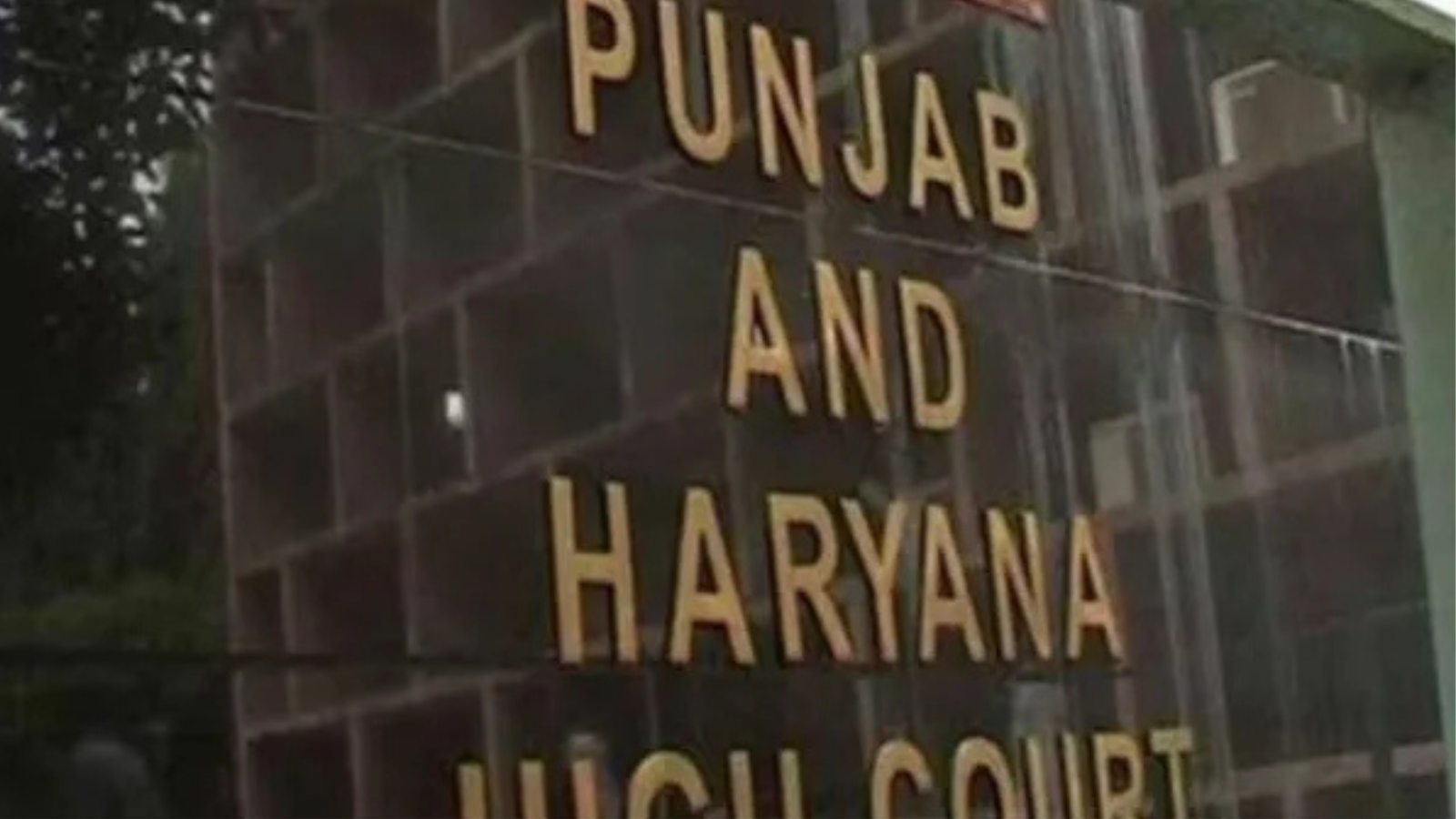 Punjab and Haryana High Court acquits man convicted of murder 20 years ...