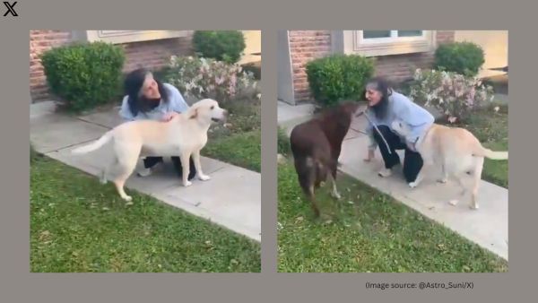 Sunita Williams with her two Labrador Retrievers, Gunner and Gorby