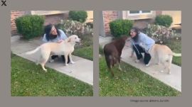 Sunita Williams with her two Labrador Retrievers, Gunner and Gorby