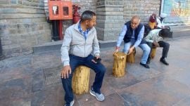 300 stools (muddas), fallen tree slumps, Shimla