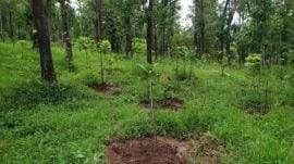 Forest Rights Act , Himachal Pradesh