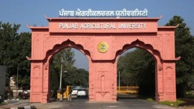 Punjab
