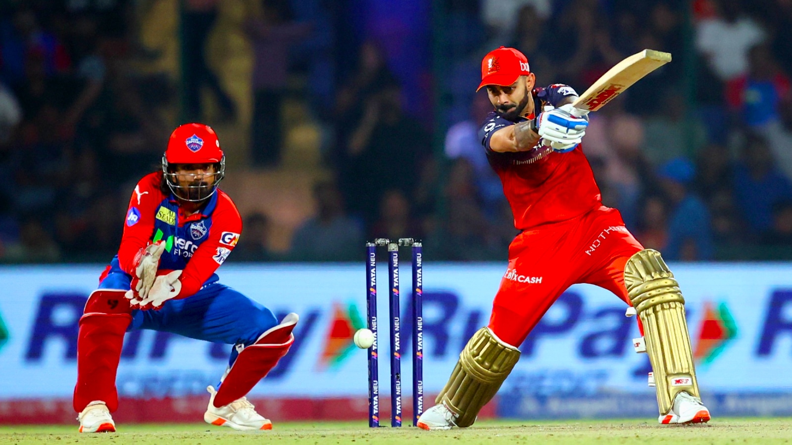 RCB tops IPL 2025; Kohli, Hazlewood lead individual standings
