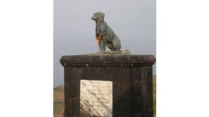 waghya dog, shivaji, amit shah, raigad fort, Sambhajiraje