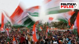 Congress Political Pulse