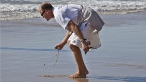 Get to know beach worms