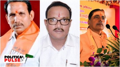 bjp vs its government