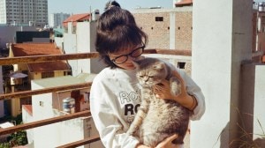 cats