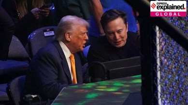 Elon Musk, DOGE