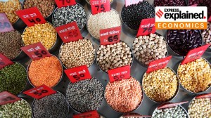 Why food inflation is softening, what lies ahead