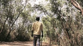 deforestation, fighting deforestation, Madhya Pradesh forest officer, IIT Roorkee, artificial intelligence, artificial intelligence,