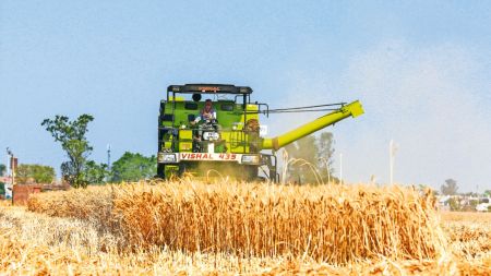 Indo-Pak tensions, Jammu border farmers, border farmers, Kashmir border farmers, Pahalgam attack, Pahalgam terror attack, Pahalgam terrorist attack, Pahalgam terrorists, Indian army, india pakistan ties, india pakistan tensions, article 370, Indian army, Abrogation of Article 370, terrorism, terrorist attack, Kashmir attack, Jammu and Kashmir terrorist attack, Jammu and Kashmir, cross-border infiltration, border security, border infiltration, Indian express news, current affairs