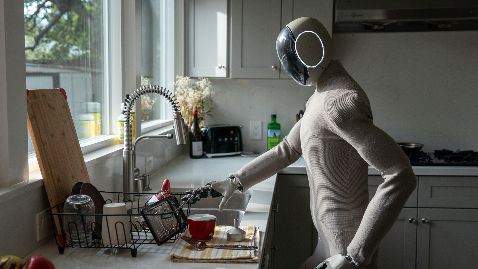 humanoid robots for home.