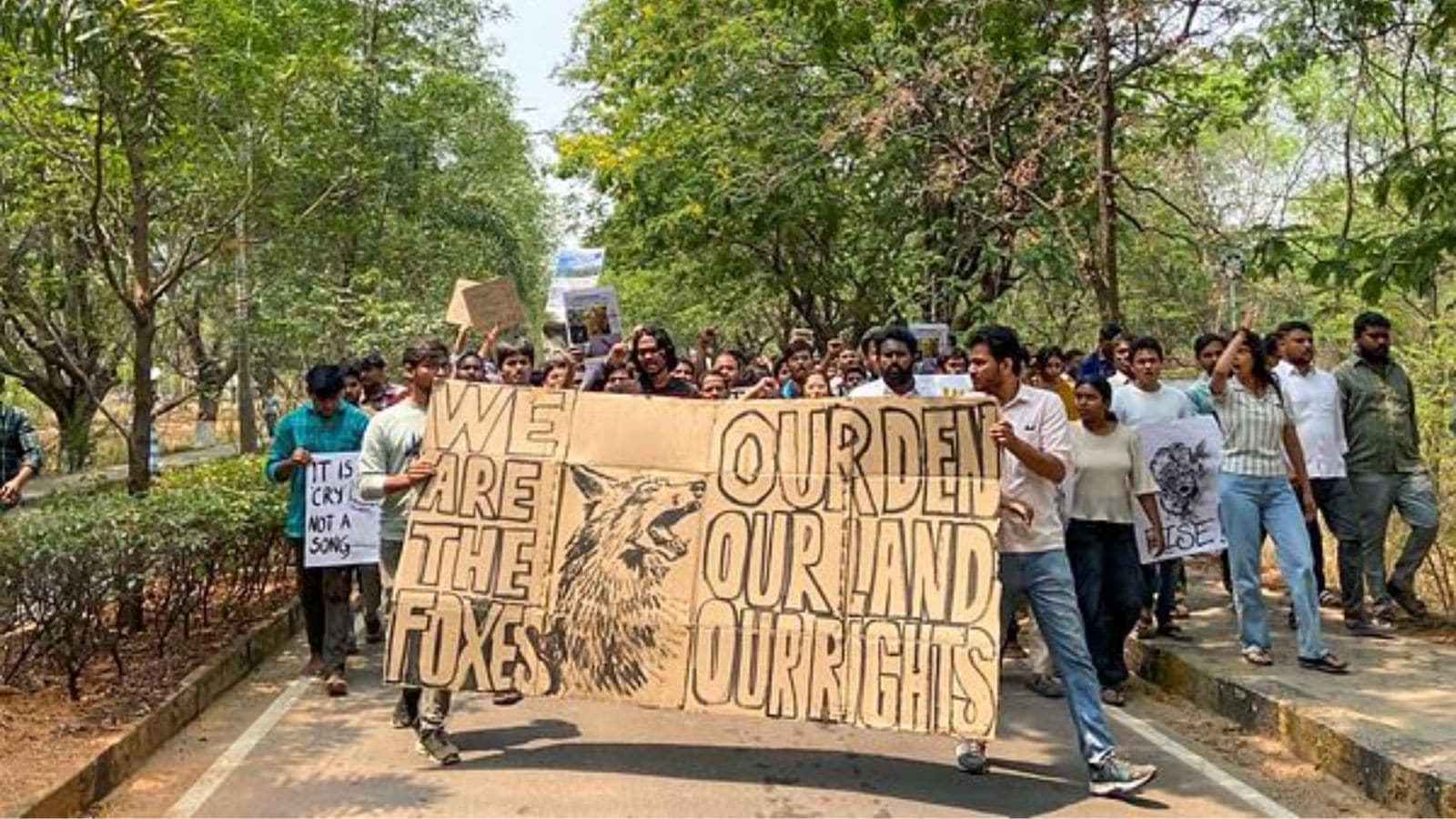 Centre steps in, seeks report on clearing of green cover near Hyderabad University