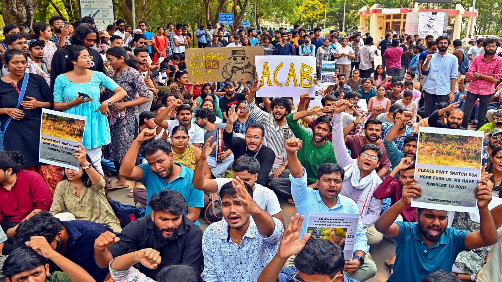Kancha Gachibowli protests: After SC steps in, Telangana government comes forward for dialogue with Hyderabad university students