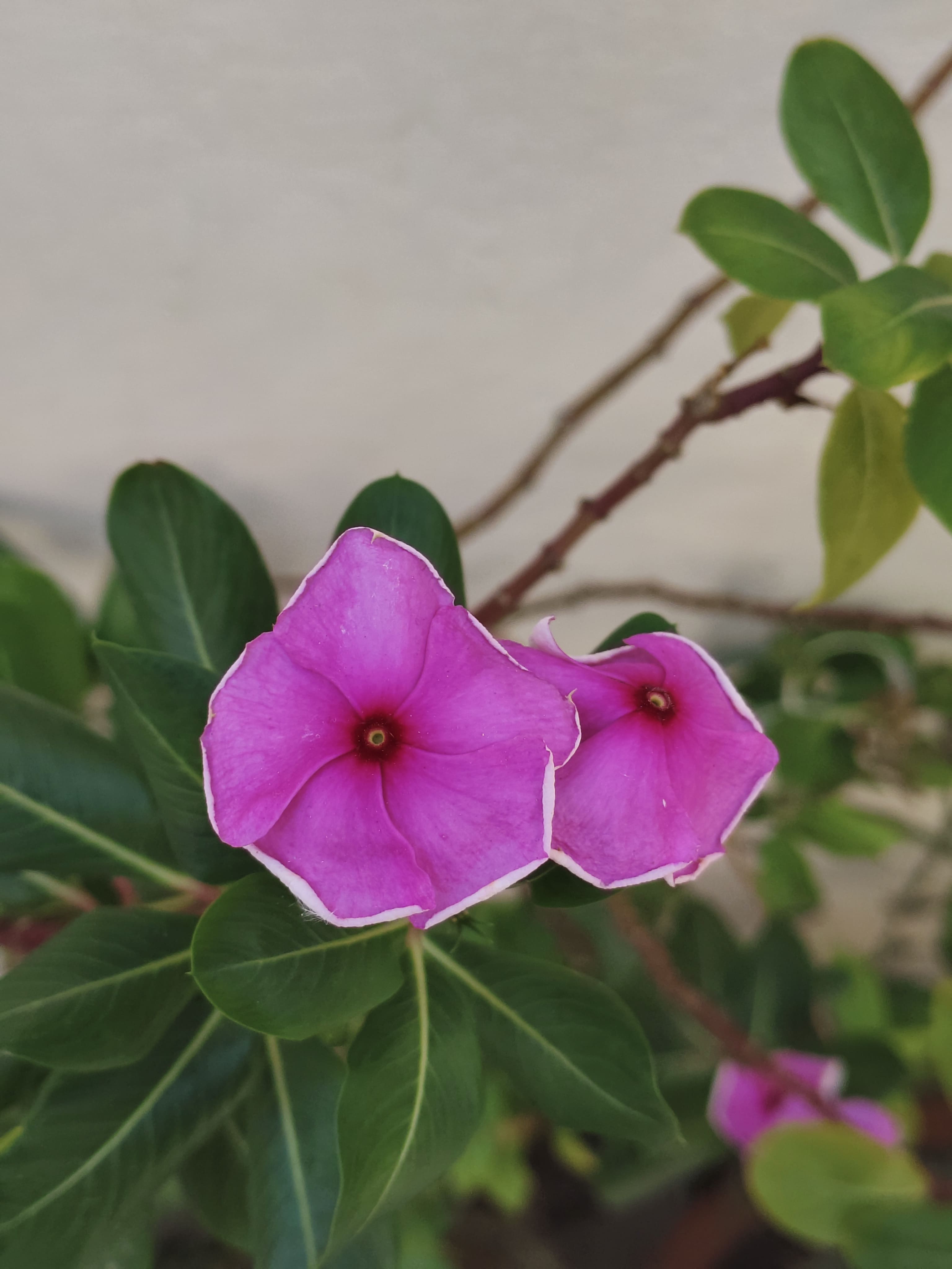 iQOO Z10 review.