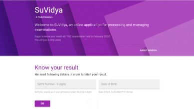Karnataka 1st Year PUC Results 2025: Website to check scorecards