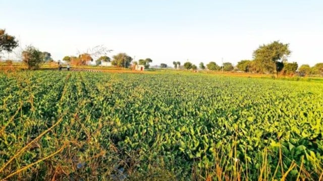 haryana land