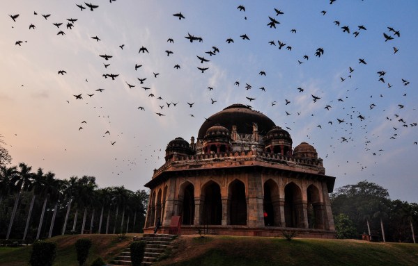 lodhi garden